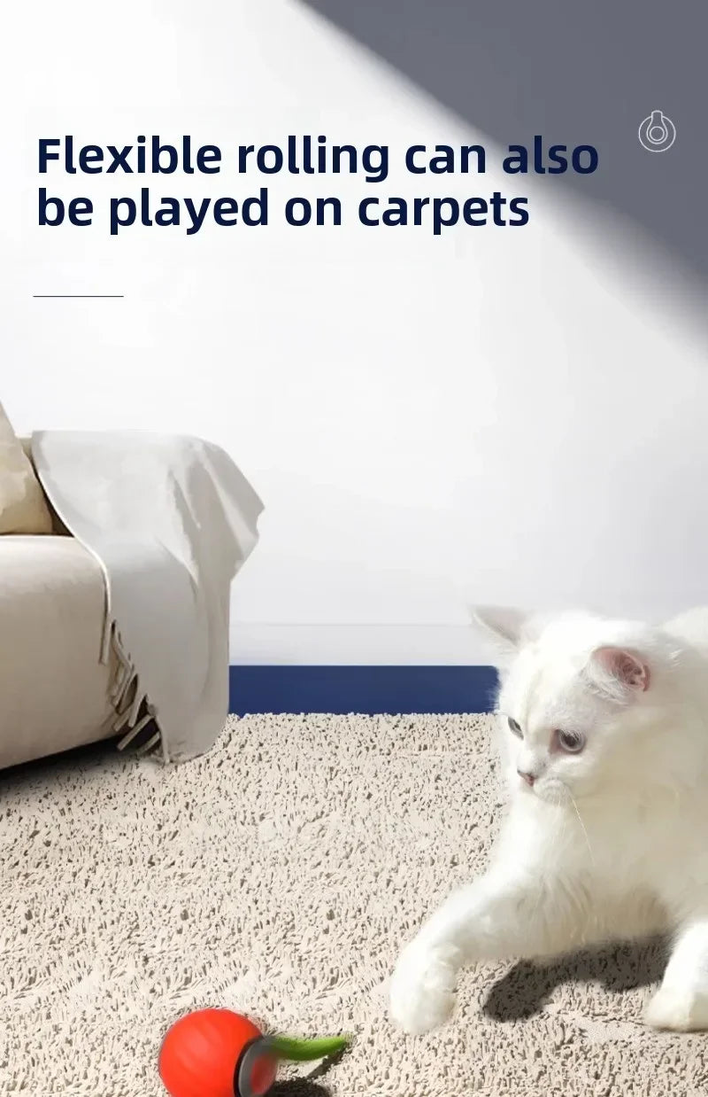 Smart Interactive Cat Toy Ball with Dual Speed, USB Rechargeable & Motion Sensor