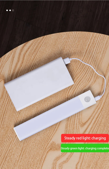 Smart Motion-Sensing LED Closet Light