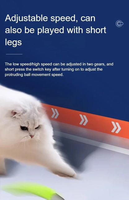 Smart Interactive Cat Toy Ball with Dual Speed, USB Rechargeable & Motion Sensor